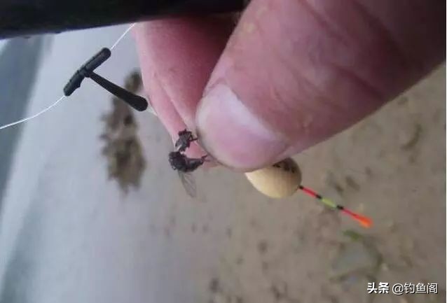 野钓除了蚯蚓用什么饵,野钓用什么活饵最好