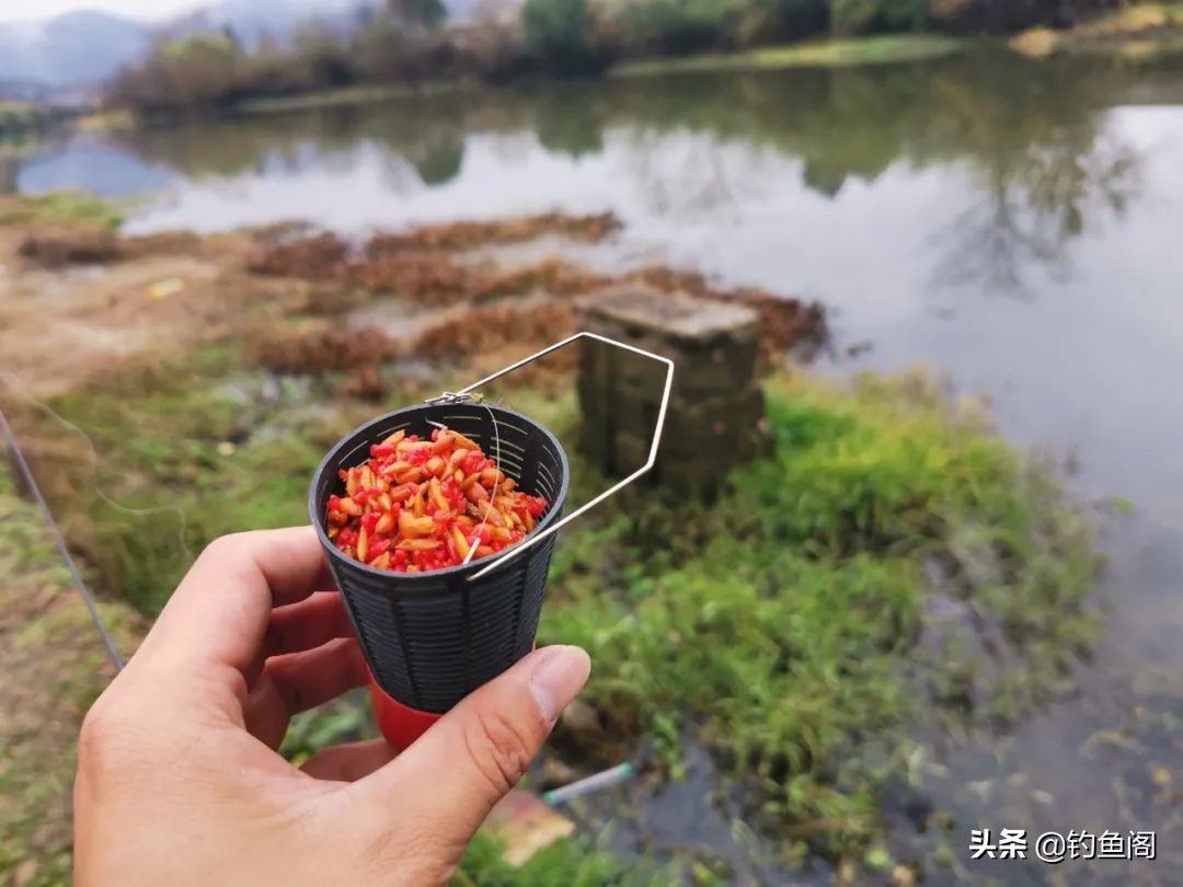 野钓中鱼最快的方法,野钓上鱼最快方法