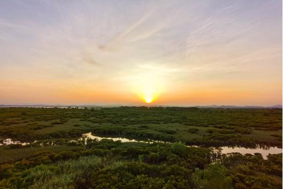 生蚝之乡广东阳江,生蚝之乡鲜蚝