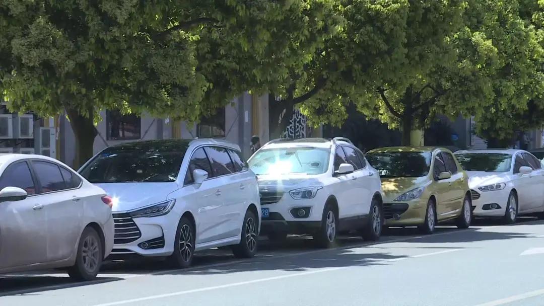 买车变租车骗局警察介入,买车变租车骗局处理结果