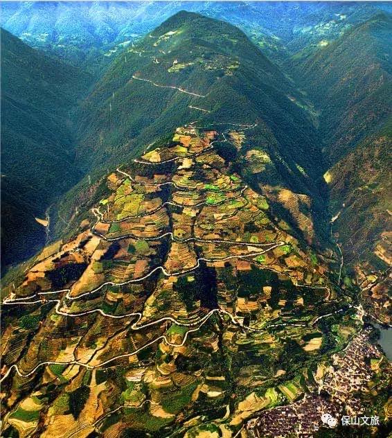 这是一个充满生机的公园怎么说,这是一个充满生机的国度朗诵