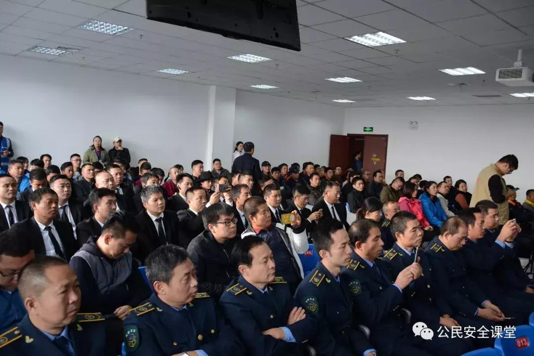 开车时撞到宠物狗怎么办,开车在马路上撞到宠物狗犯法吗