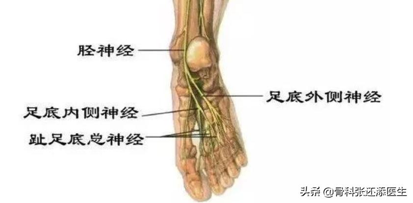 脚后跟走路疼但是没有肿起来,脚后跟走路不疼跑步疼