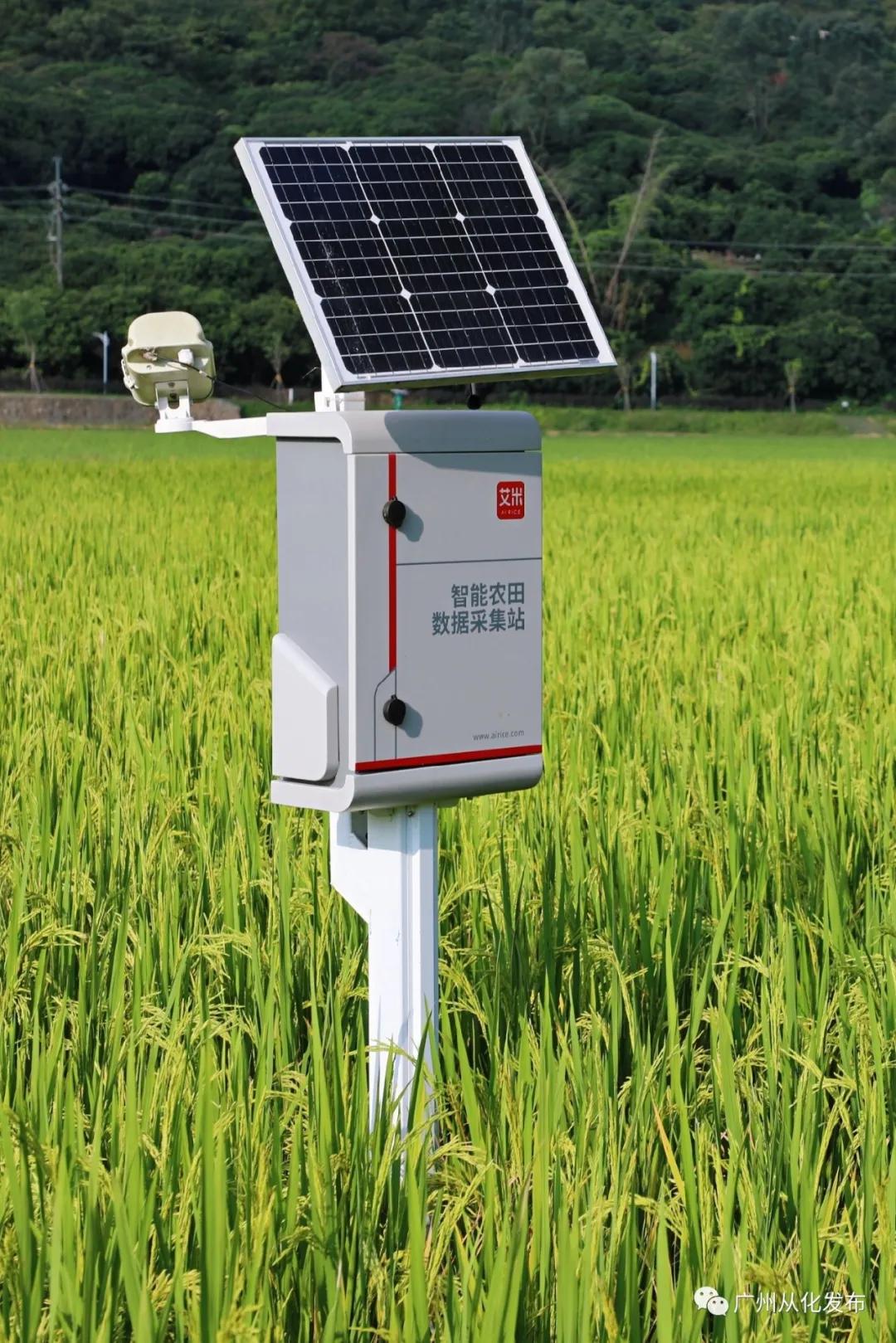 投资200亿元打造智能工厂,投资15亿的工厂