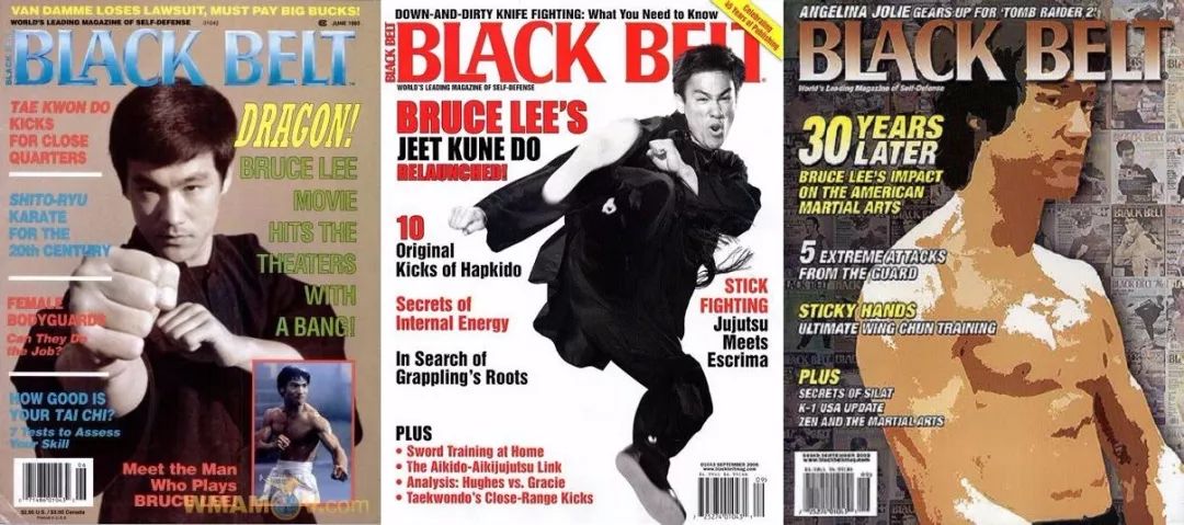 成龙元彪洪金宝甄子丹李连杰电影,李连杰和成龙的武打动作对比