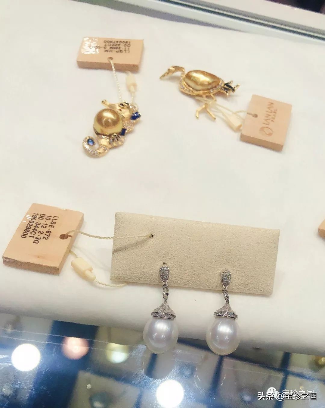 智识珍珠07|南洋白珠：珍珠界的“禁欲系”代表