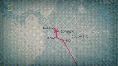 巴西沙佩科恩斯队空难,沙佩科恩斯空难幸存者重返足球