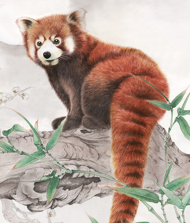 水仙花国画花鸟画图片欣赏,中国画花鸟画背景图片大全