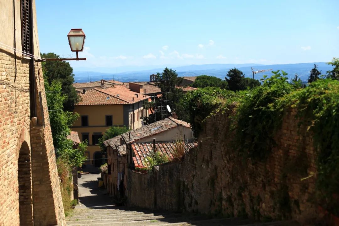 意大利最好的葡萄酒小镇,意大利马纳罗拉小镇盛产葡萄酒