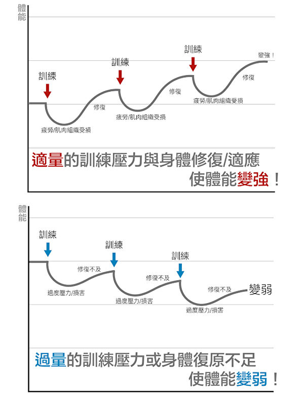 运动膝盖受伤会造成肌肉萎缩吗,运动导致膝盖受损能彻底根治吗