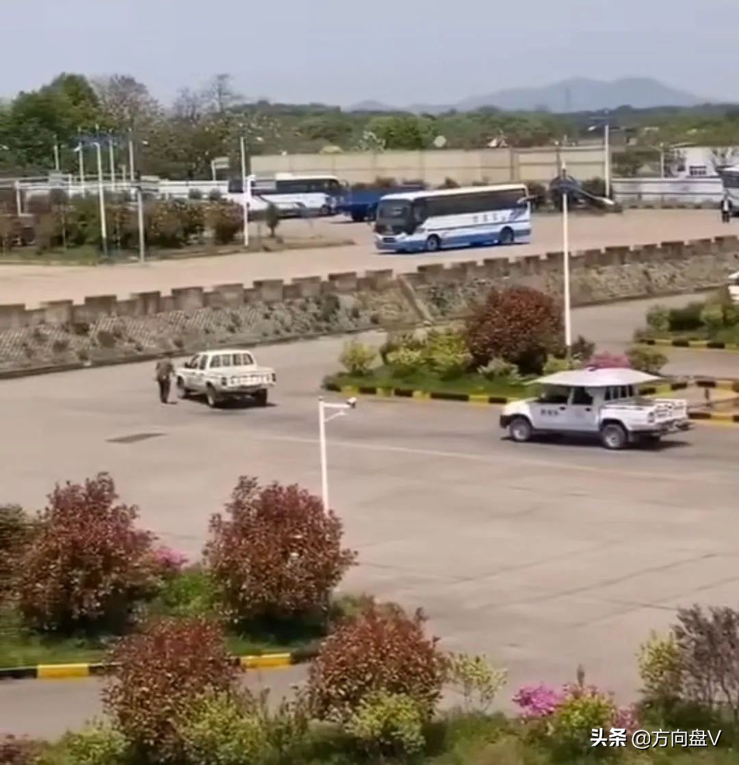 战疫日记三十字,战疫日记全文