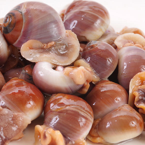 渤海湾野生海鲜图片,渤海湾海鲜为什么好