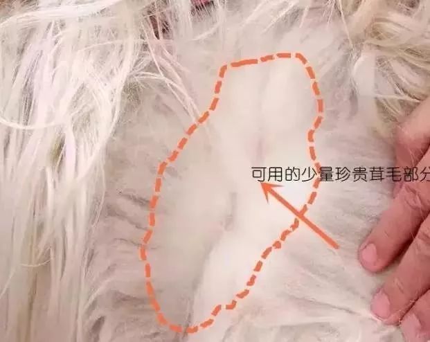 羊绒围巾的秘密，你还不知道吗？