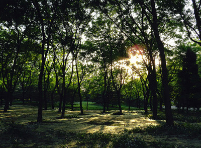 贡献出北京郊游十大古村落地图,好玩安静,有文化