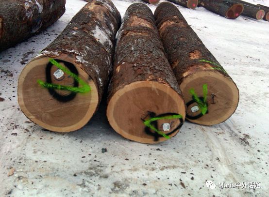 美国硬木干货价格,北美硬木排行