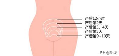 章子怡产后未p图曝光，二胎的她怎么变了？