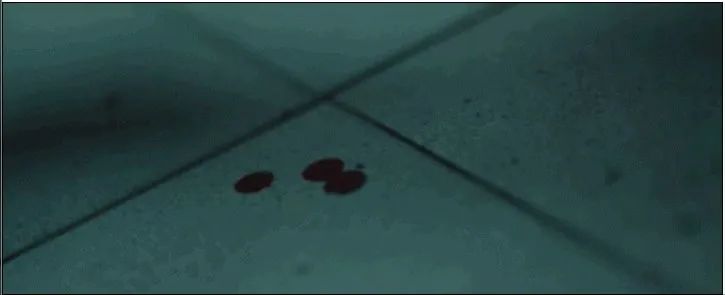 12月份推荐书,12月值得入坑的实体书