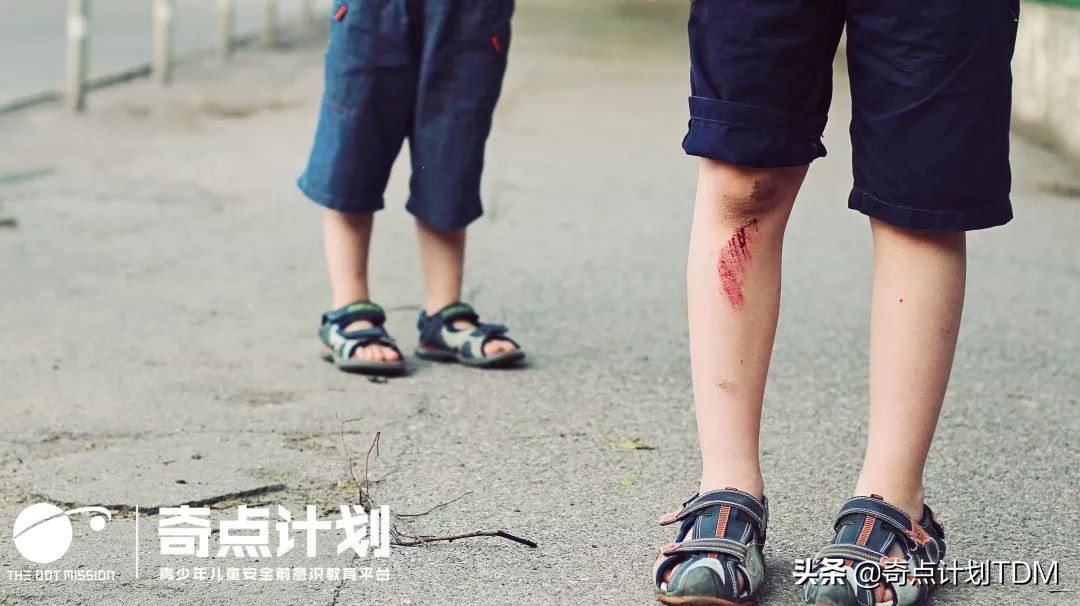 奇点计划,奇点计划怎么样