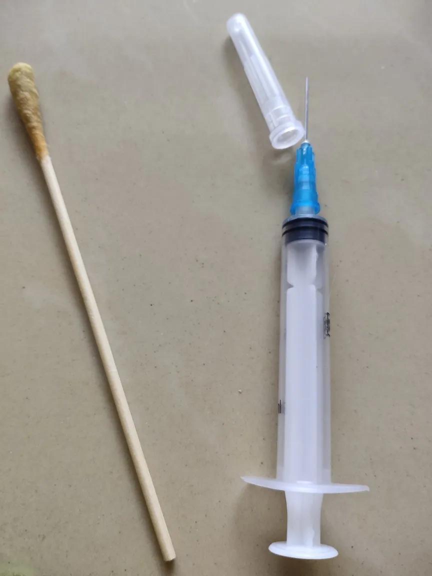 新到家的猫咪打疫苗,去医院打疫苗猫咪