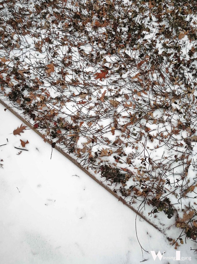 纽约中央公园世界奇迹,纽约中央公园浦东世纪公园