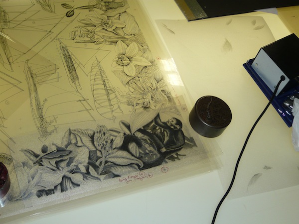 爱马仕丝巾一条,爱马仕丝巾如何成为第一的