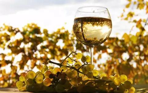 雷司令哪个年份的最好,雷司令的魅力在哪里