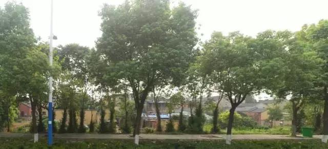 芜湖5路公交车最新路线和时间,芜湖公交记忆