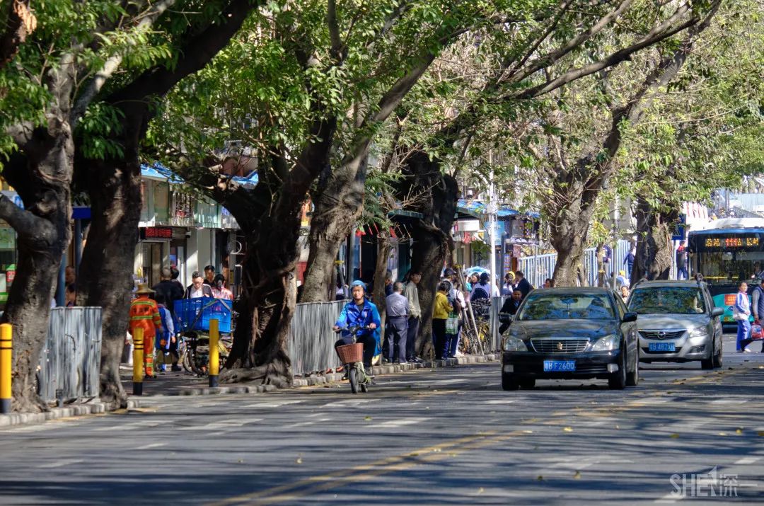 深圳新秀村南区,罗湖区新秀村