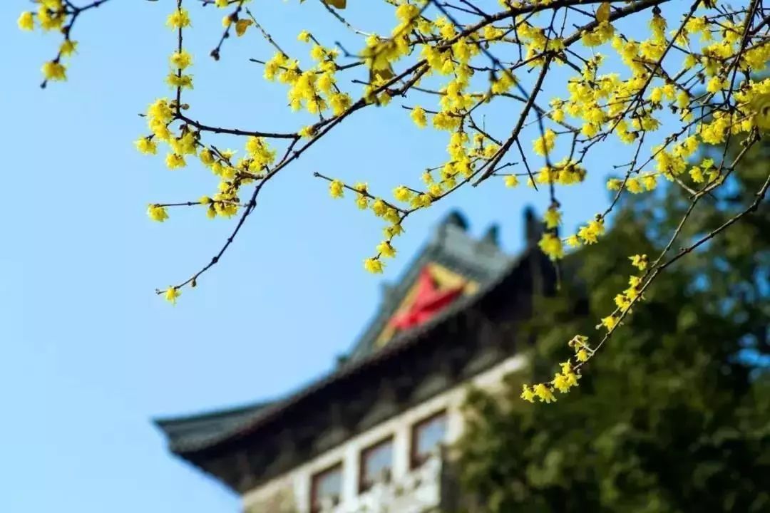 2023年度人工智能领域五大突破,最新人工智能研究院排名