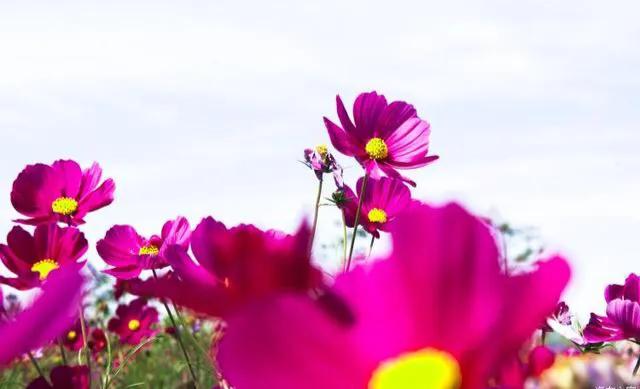 印象甘肃视频,印象甘肃乡村美景