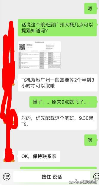 给大家介绍宠物托运的全过程,找托运宠物公司托运宠物注意什么