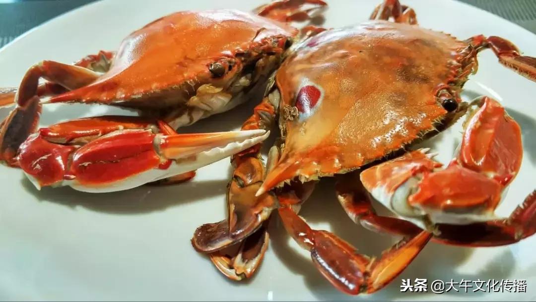 大午温泉假日酒店自助地址,大午假日温泉