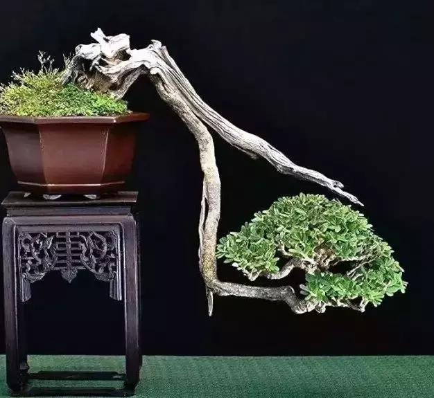 康永恒：诗词三十首｜了道仙山自茁青