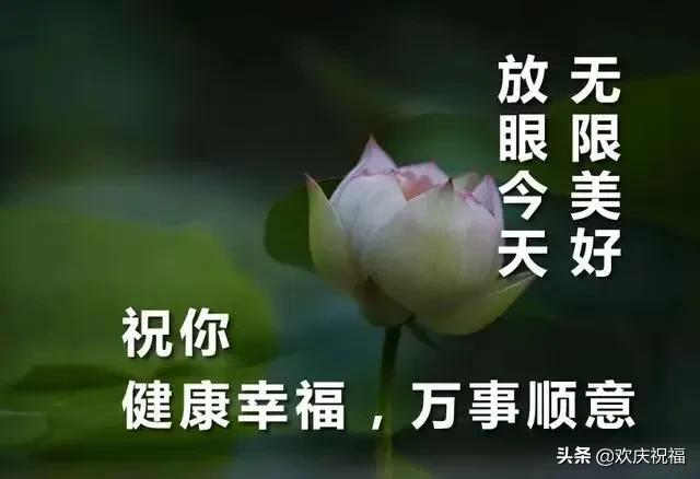 缘来不拒缘去不哀的图片,缘来不拒缘去不惊