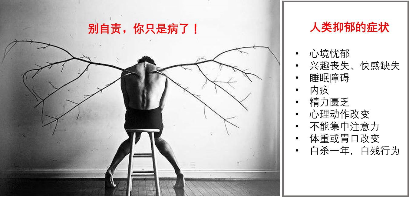 心智停滞抑郁症,心智抑郁症