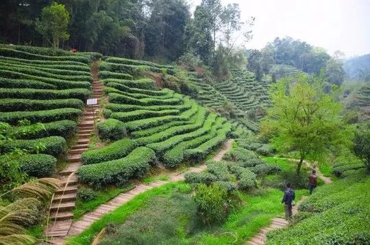 五一小众旅游线路推荐一下,收藏旅游景点