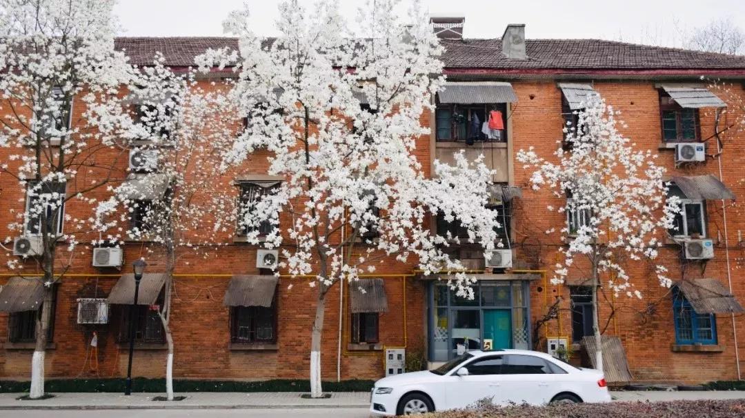 安徽合肥大学二本院校,安徽合肥工业大学