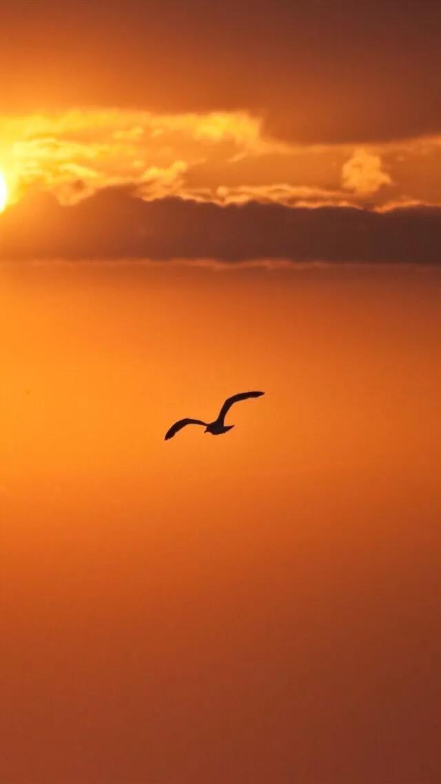 不表现自己就是最好的表现,不表现出来就是不难过了吗