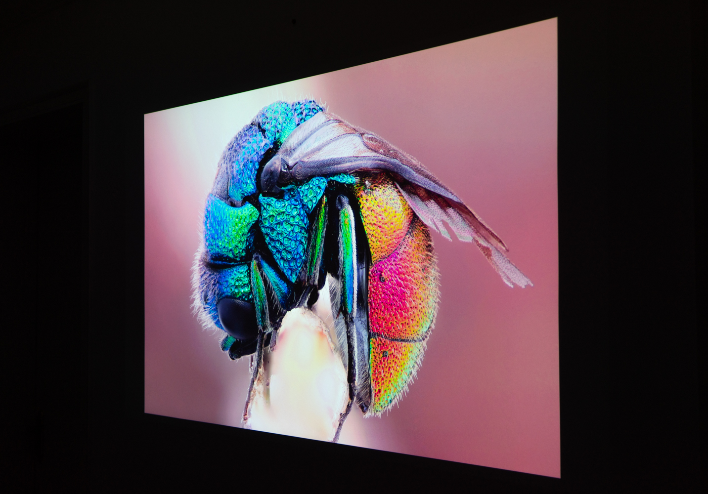 峰米投影仪smart升级版对比普通版,峰米smart投影仪对比小米2