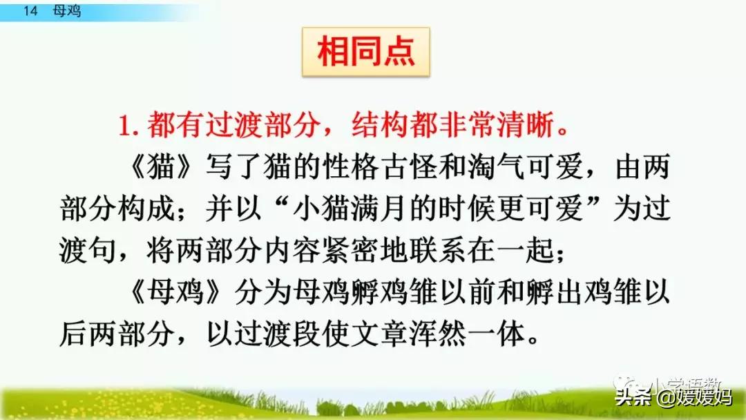 四年级下册第13课小练笔仿写母鸡,四年级下册14课母鸡的预习完整版