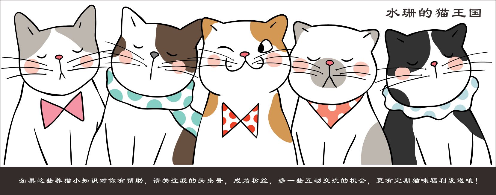 猫病科普,猫咪有皮肤病都是什么引起的