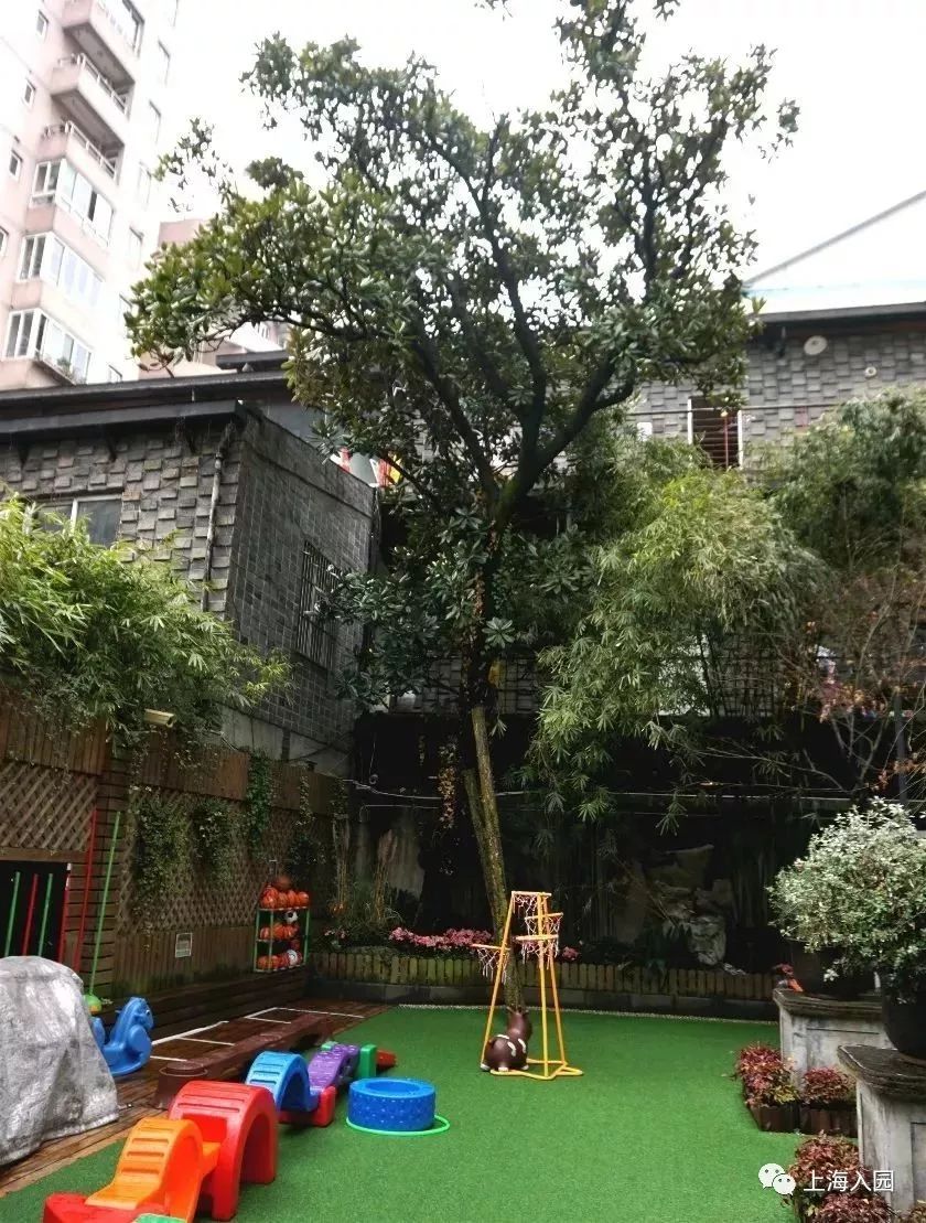 探园|上海寸土寸金地段的双语幼儿园！有托班，要提前1年排队！