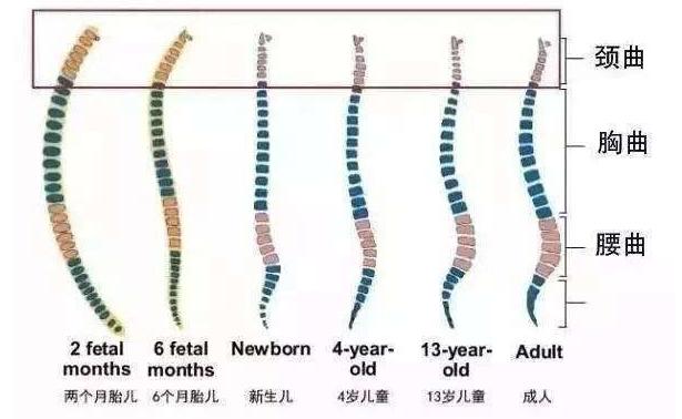 教你正确选购婴儿车,婴儿车选哪种比较合适