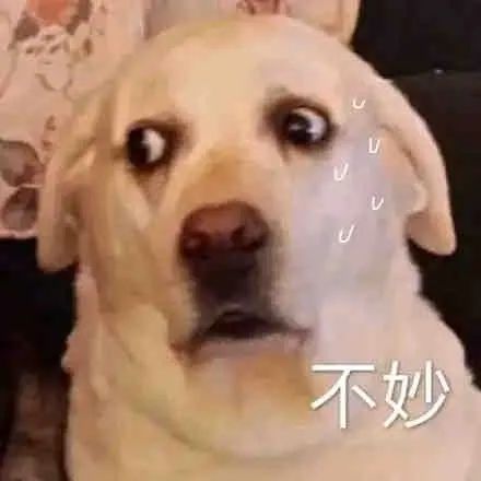 参加婚礼吃了饭忘记随礼了,去参加婚礼没吃饱