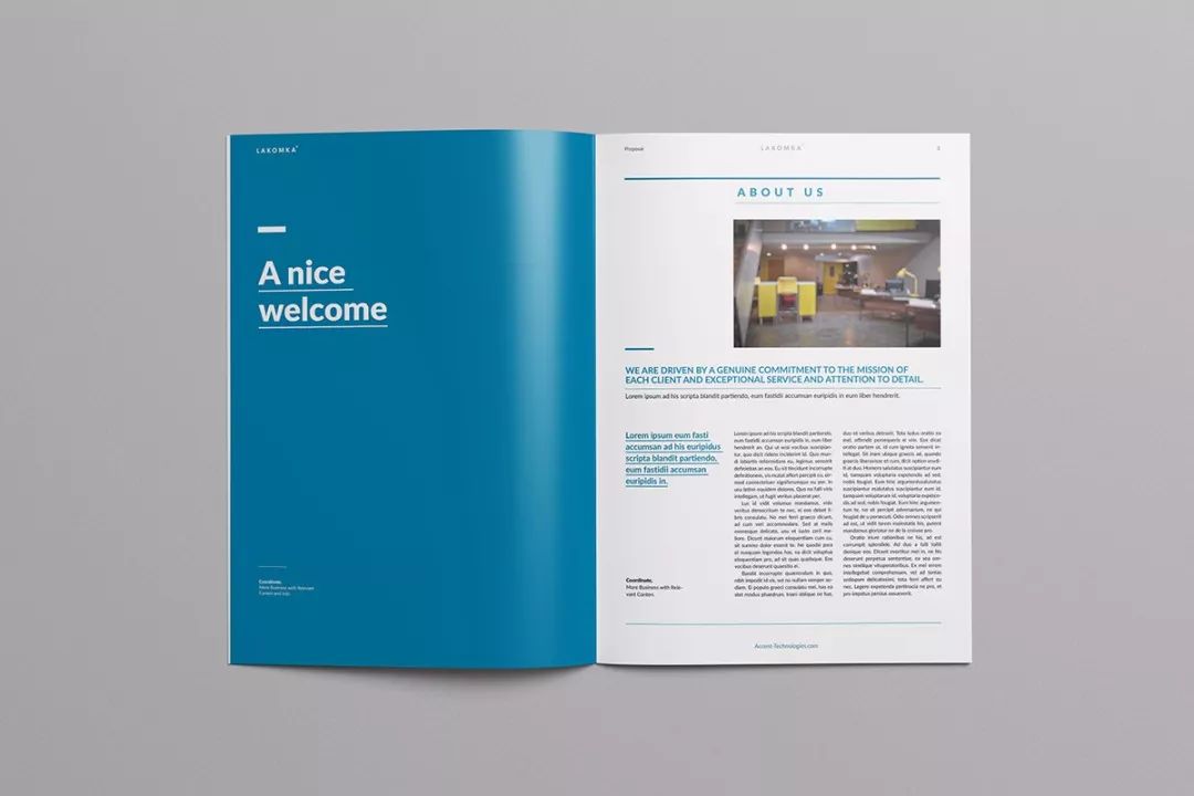 简约大气的企业宣传册／画册设计精选