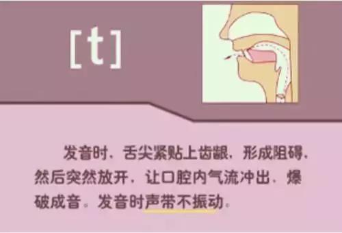 48个英语音标正确读法视频教学,英语48个音标正确发音顺口溜表