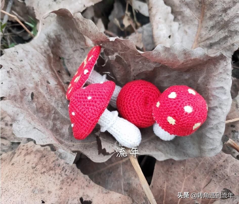 造物记/这些圣诞礼物的阵容太强大了!谁是造物主?