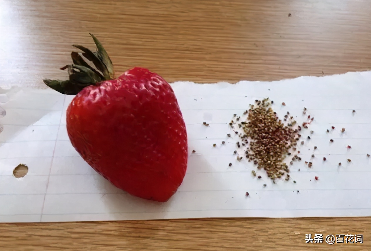 毛孔粗大用什么面膜可以收缩毛孔,脸上毛孔粗大收缩毛孔护肤品排行