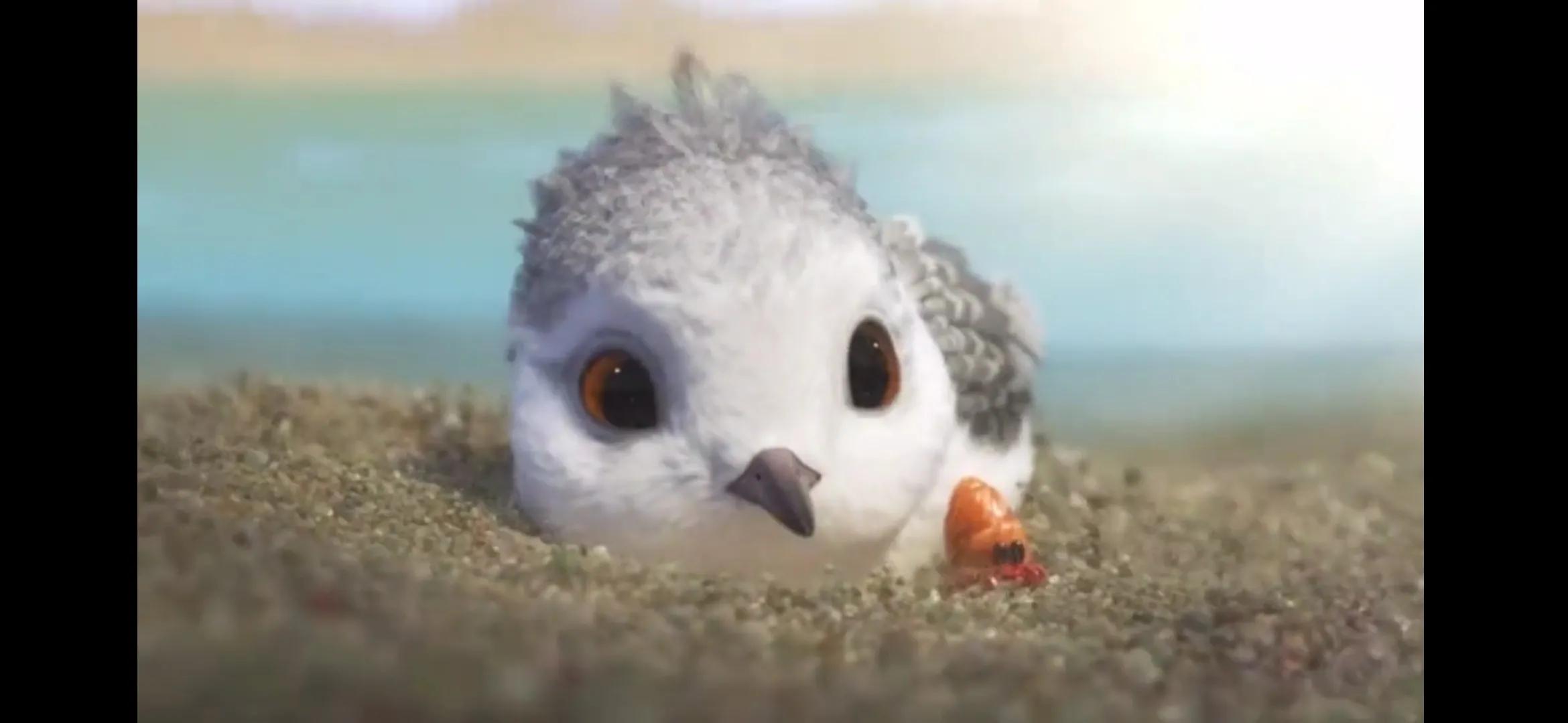 教育孩子成长的一些心得,教育孩子的正确方法和感悟