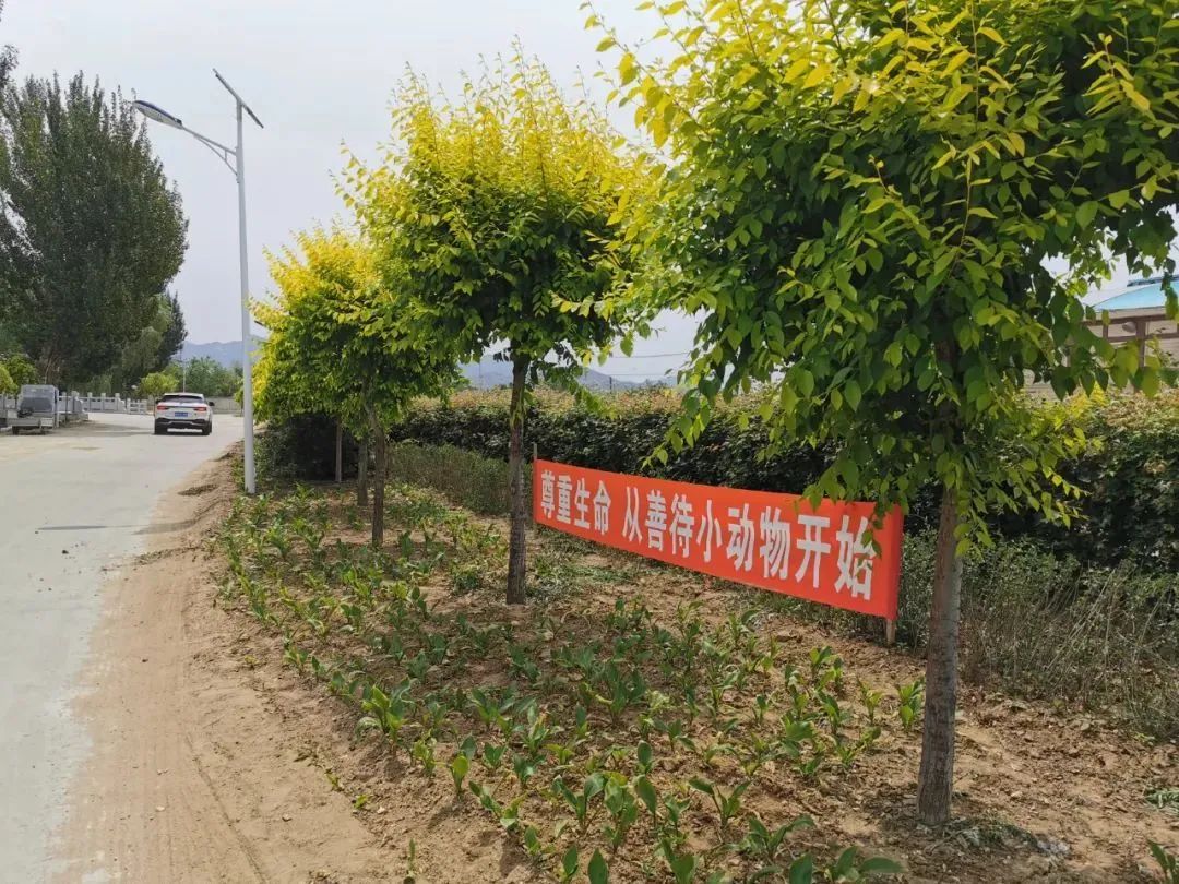 鲅鱼圈美景,鲅鱼圈小望海最美乡村